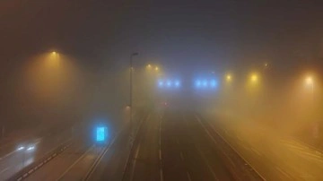 Erzurum'da yoğun sis hava trafiğini olumsuz etkiledi