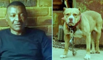 Eski futbolcu, kendi köpekleri tarafından parçalanmış halde evinde ölü bulundu