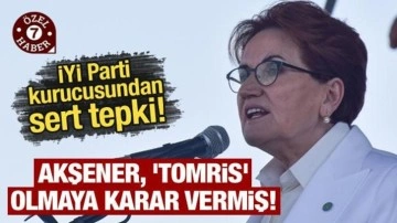 Eski İYİ Partili isimden sert tepki: Akşener, 'Tomris' olmaya karar vermiş!