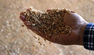 Eski ZMO Başkanı Gökhan Günaydın gıda krizi tehdidine dikkat çekti: 'Ata tohumu 4 kat verimli&#
