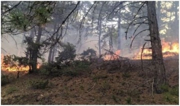 Eskişehir'de çıkan orman yangını söndürüldü