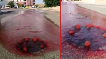 Eskişehir'de rögar kapağından akan kanlar asfaltı kırmızıya bürüdü