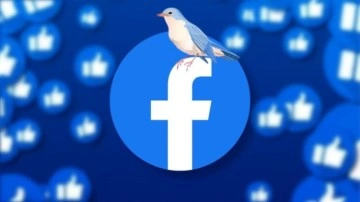 Facebook'tan "Cıvıldama" Hatası Açıklaması - Webtekno