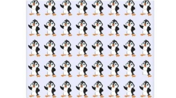 Farklı pengueni bulmak için sadece 7 saniyeniz var! Bakın kimler hemen buluyormuş