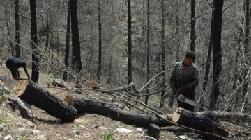 Felaketzede ihtiyacından yararlanamayan orman köylüleri için düzenleme yapıldı