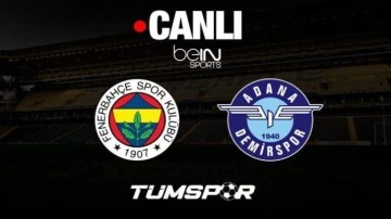 Fenerbahçe Adana Demirspor maçı canlı izle | Süper Lig beIN Sports HD1 seyret