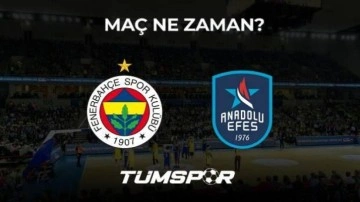 Fenerbahçe Beko Anadolu Efes Cumhurbaşkanlığı Kupası maçı ne zaman, saat kaçta ve hangi kanalda?
