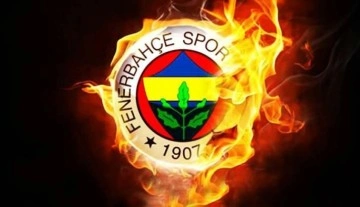 Fenerbahçe'nin TFF'ye açtığı tazminat davasında ilk duruşma görüldü
