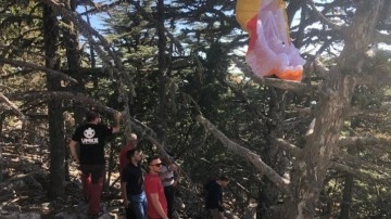 Fethiye'de yamaç paraşütü ağaca dolanan Rus pilot kurtarıldı!