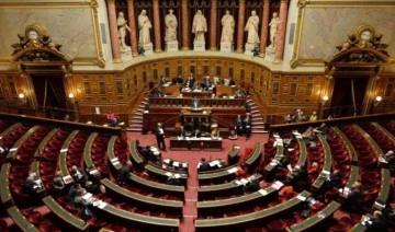 Fransa Senatosu, Çin karşıtı önergeyi kabul etti