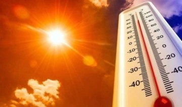 Fransa'da bu yıl yaz sıcaklarından 2 bin 816 kişi yaşamını yitirdi