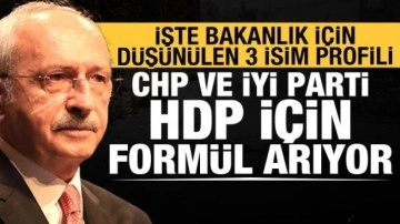 Gaffar Yakınca yazdı: HDP'ye bakanlık formülleri