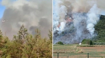Gaziantep, Muğla ve Antalya'da orman yangını! Ekiplerin müdahalesi sürüyor