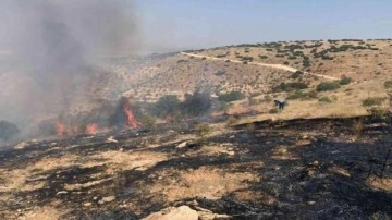 Gaziantep'te ağaçlık alanda çıkan örtü yangını söndürüldü
