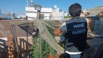 Gaziantep'te dev uyuşturucu operasyonu: 20 gözaltı