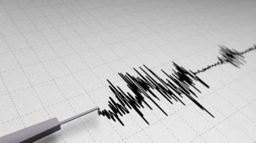 Gece saatlerinde sallandı! AFAD depremin şiddetini duyurdu
