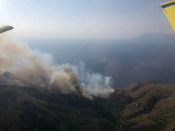 Gökçeada'daki orman yangını 16 saat süren çalışmayla kontrol altına alındı