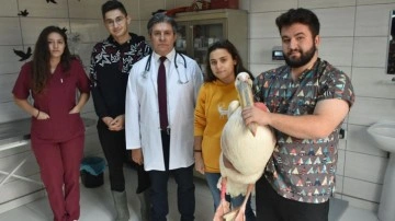 Gönüllü öğrenciler yaban hayvanlarının iyileşmesi için çabalıyor