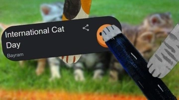 Google'dan Kedi Günü İçin Bağımlısı Olacağınız Oyun