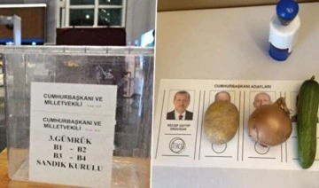 Gurbetçi seçmen Türkiye'deki yurttaşla dalga geçti: 'Marifet gibi' habere tepki