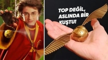 Harry Potter’daki Altın Snitch Hakkında İlginç Bilgiler