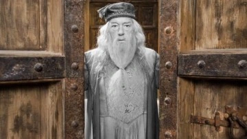 Harry Potter'ın Dumbledore'u Hayatını Kaybetti - Webtekno