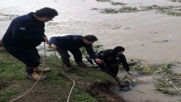 Hatay’da 1 hafta içerisinde sulama kanalında 3.ceset bulundu