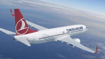Havada 'yasaklı meyve' paniği: Kötü koku THY uçağını İstanbul'a geri döndürdü
