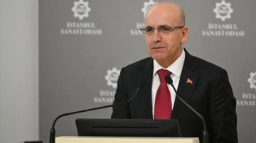 Hazine ve Maliye Bakanı Mehmet Şimşek enflasyon değerlendirmesi