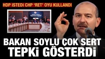 HDP istedi, CHP 'hayır' verdi! Bakan Soylu'dan çok sert tepki