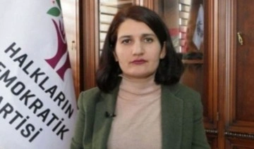 HDP'li Semra Güzel 19 Aralık'ta hâkim karşısına çıkacak
