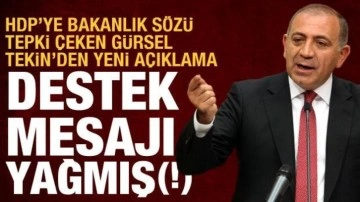 "HDP'ye bakanlık verilebilir" sözleri tepki çekmişti: Gürsel Tekin'den yeni açık