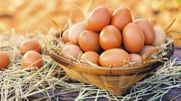Her gün yumurta yenmeli mi? Yumurtanın faydaları ve zararları…