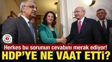 Herkes bu sorunun cevabını merak ediyor! Kılıçdaroğlu HDP'ye ne vaat etti?