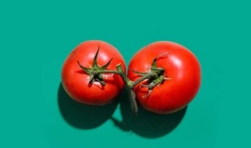 Hindistan'da görülmüştü... Uzmanından 'domates gribi' uyarısı