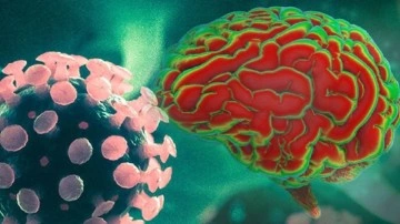 HIV'nin Beyinde de Saklanabildiği Ortaya Çıktı - Webtekno