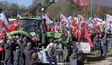 Hollanda'da sandıktan çiftçiler çıktı