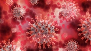 HPV virüsü nedir, neden olur? Neden bulaşır? HPV virüsü nasıl geçer, cinsel yolla mı geçiyor?