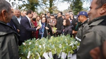 İBB fideleri ve tohumları İstanbullu çiftçilere dağıtacak