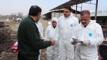 Iğdır'da şap hastalığı alarmı: Hayvanlar ilaçlanmaya başladı