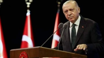 İnfiale neden olmuştu, Başkan Erdoğan talimat verdi: Yapmayan yanacak!