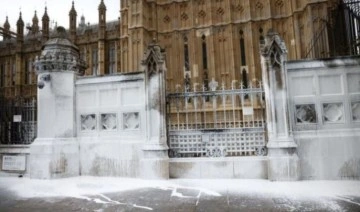 İngiltere'de hayvan hakları savunucularından parlamento binasına boyalı saldırı