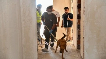 İnşaatta mahsur kalan köpeğin imdadına belediye ekipleri yetişti.