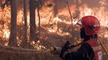 İspanya'daki orman yangınının nedeni ortaya çıktı! Hollandalı firma her şeyi itiraf etti