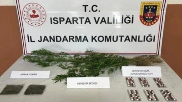 Isparta'da uyuşturucu operasyonu: 1 gözaltı