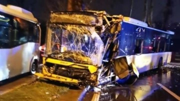 İstanbul Sarıyer'de İETT otobüsü asırlık ağaca çarptı: 7 yaralı