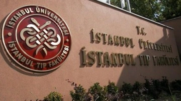 İstanbul Üniversitesi'nden "cinsiyet değişikliği makalesi"ne inceleme