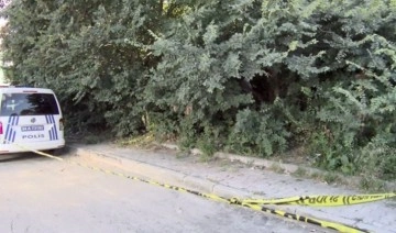İstanbul’da ağaçlık alanda kadın cesedi bulundu