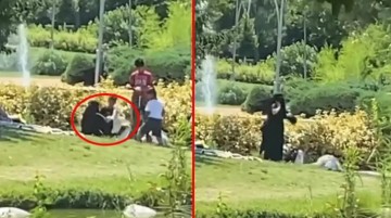 İstanbul'da akılalmaz olay! Gölet parkındaki kazlar 2 kadın tarafından çalındı