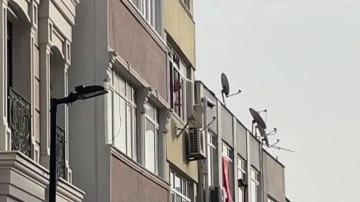 İstanbul'da hareketli saatler! Sinir krizi geçirip hepsini camdan attı